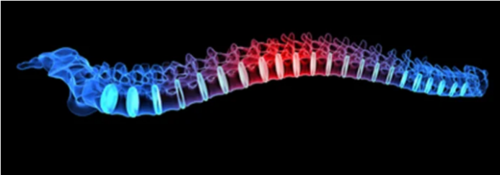 Geraldine Mullhall-Wright, DC